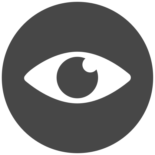 Vision Icon